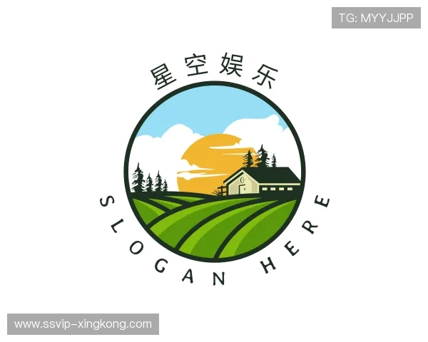 解读星空游戏官网